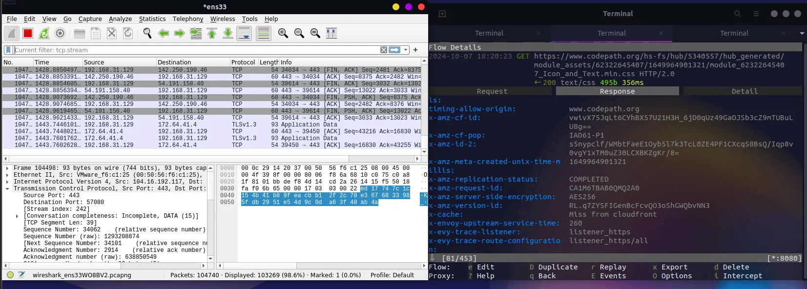 Wireshark logs